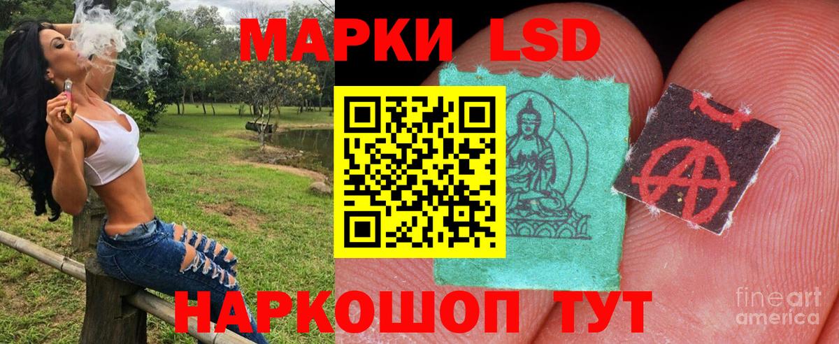 Аргун  Марки 25I-NBOMe  Вход с VPN  сколько стоит  Наркотические марки 1,5мг 