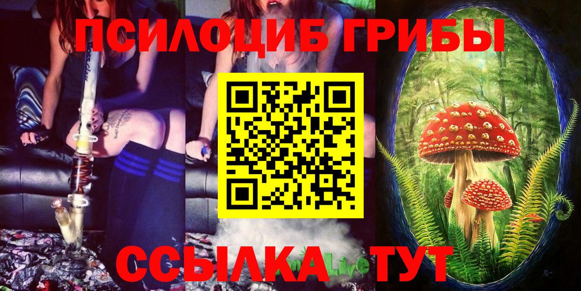 Псилоцибиновые грибы мицелий  Вход с VPN  Аргун 
