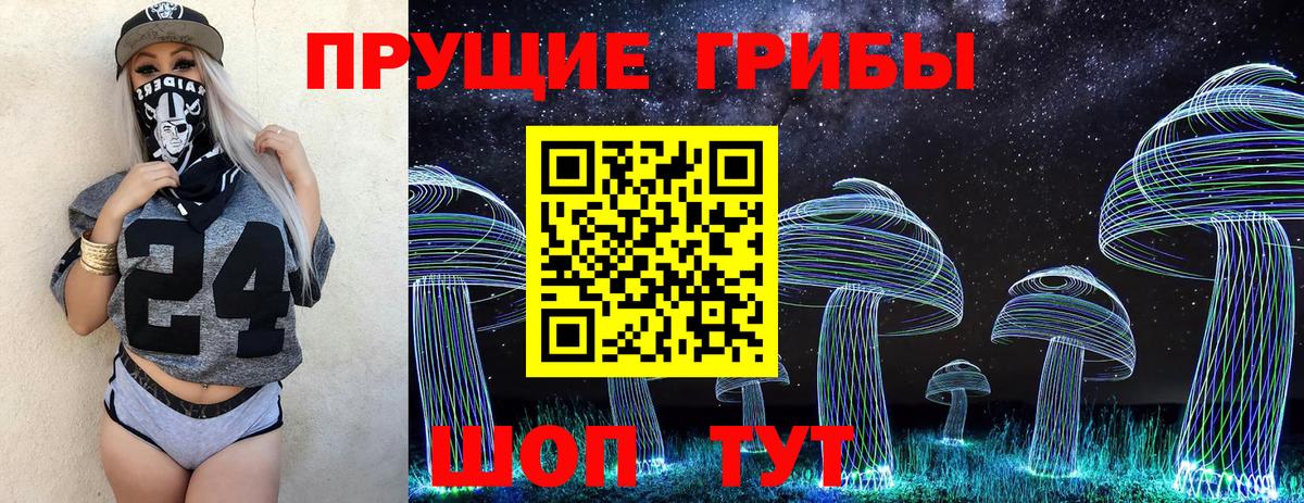 Галлюциногенные грибы Psilocybine cubensis Аргун